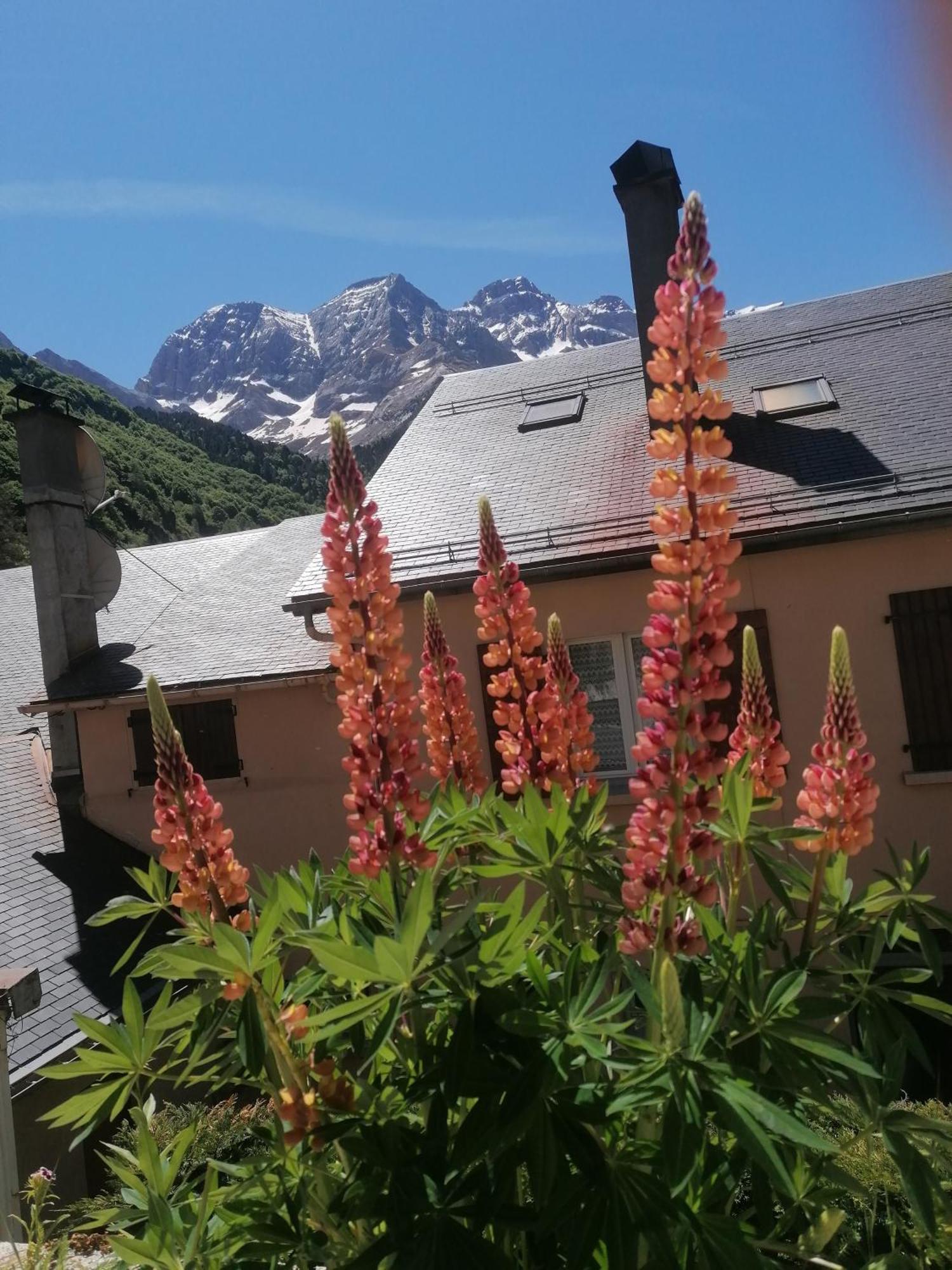 Chambres D'Hotes L'Astazou Gavarnie Buitenkant foto
